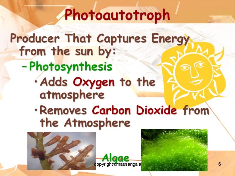 6 Photoautotroph Producer That Captures Energy from the sun by: Photosynthesis Adds Oxygen to